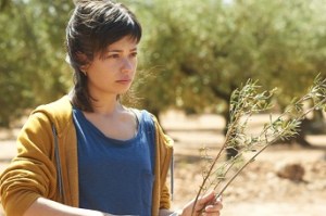 Olivo-09616-joseharo_700